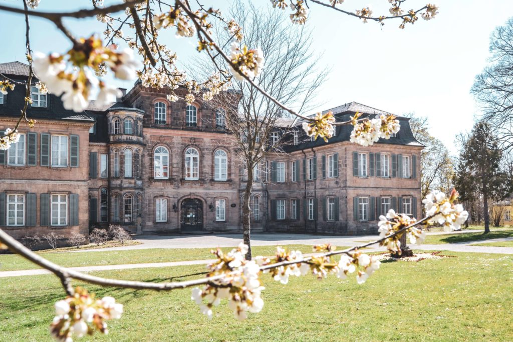 Blick durch Obstbäume mit weißen Frühlingsblüten auf Schloss Fantaisie in der Fränkischen Schweiz im Frühling