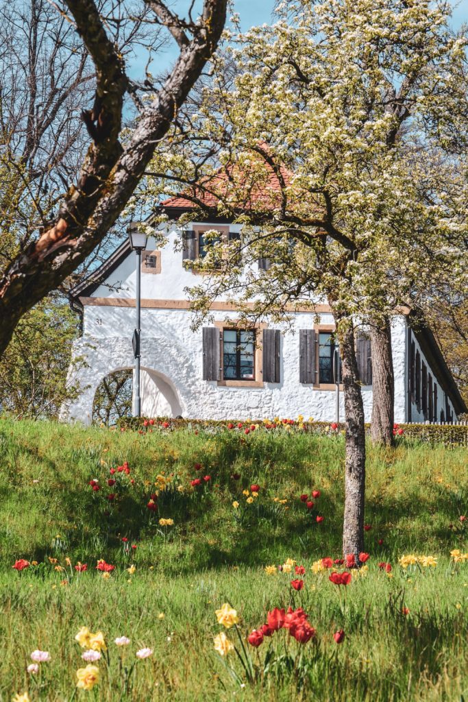 Sanspareil Bauernhaus mit Blumenwiese