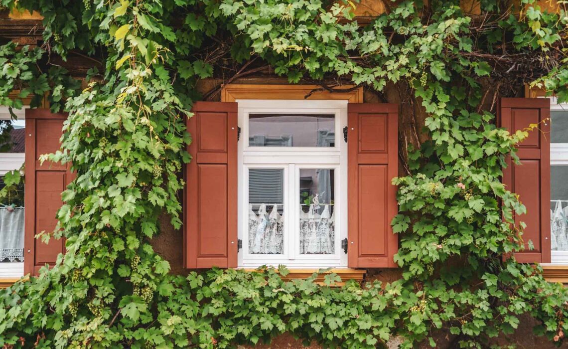 260715_Koenigsberg-in-Bayern-Fachwerkhaus-Fensterlaeden-braun-Weinranken-1920x1280
