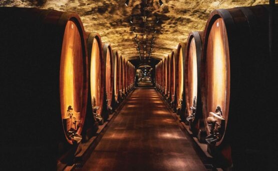 Foodtipps Würzburg: Den historischen Weinkeller mit alten Weinfässern im Juliusspital erkunden bei einer Schlenderweinprobe mit traditionellem Frankenwein des fränkischen Weinguts
