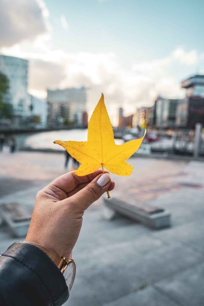 Hamburger Fotospots im Herbst: Blick auf die Elbphilharmonie am Abend den Magellan-Terrassen aus. Creatorin Alexandra von Tables & Fables hält ein gelbes Ahornblatt in die Höhe