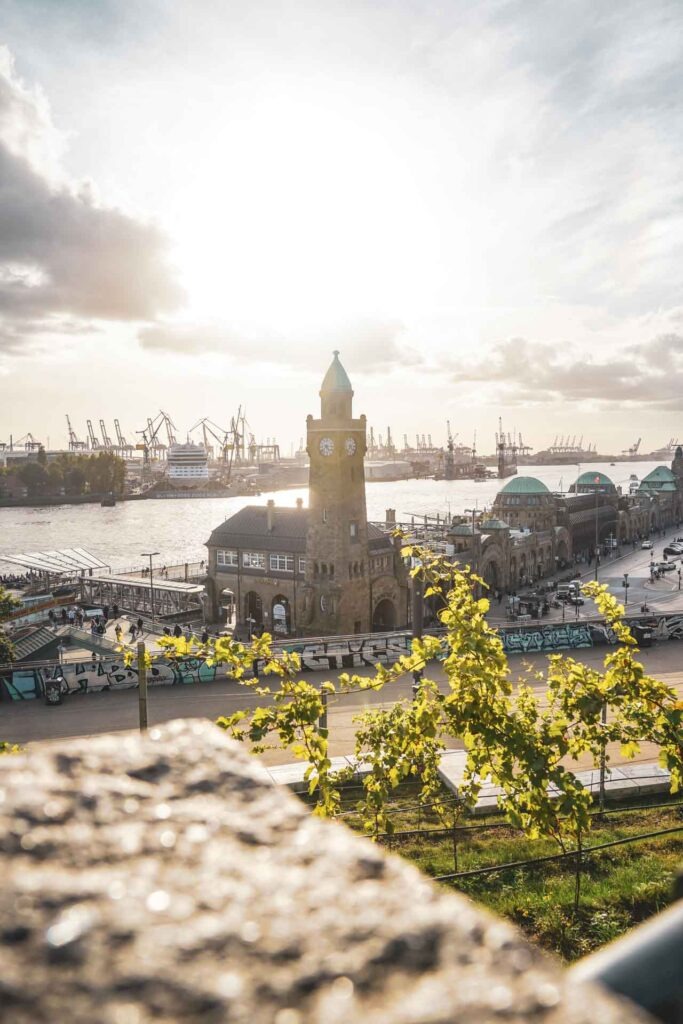 Fotospots in Hamburg: Ausblick vom Aussichtspunkt Stintfang auf die Landungsbrücken bei Sonnenuntergang im Herbst. Im Vordergrund sind die Weinreben des Weinbergs zu sehen