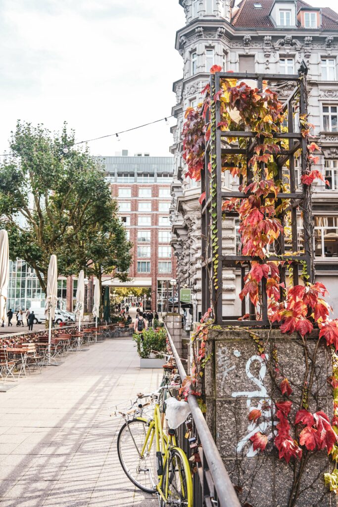 Fotospots in Hamburg im Herbst: Die Michaelisbrücke auf der Fleetinsel mit bunten Herbstblättern