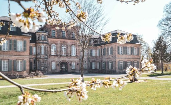 Blick durch Obstbäume mit weißen Frühlingsblüten auf Schloss Fantaisie in der Fränkischen Schweiz im Frühling
