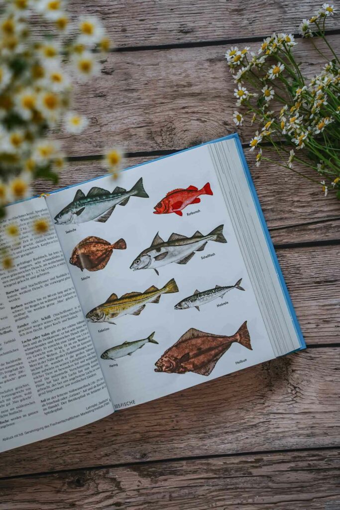 Die besten bayerischen Kochbücher: Das Bayerische Kochbuch von Maria Hofmann, erschienen im Birken-Verlag. Das Bild zeigt eine illustrierte Warenkund ezum Thema Fisch mit verschiedenen bunt illustrierten Fischarten. Das Buch liegt auf einem Holztisch, umgeben von weißen Wildblumen