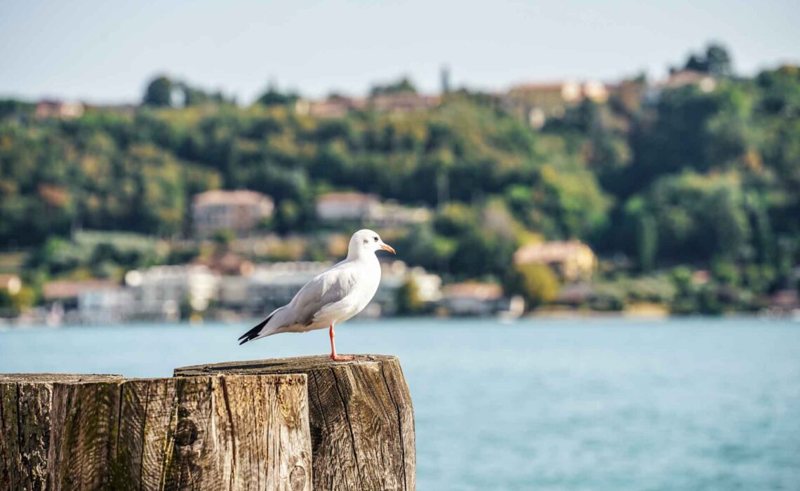 Die schönsten Orte am Gardasee: