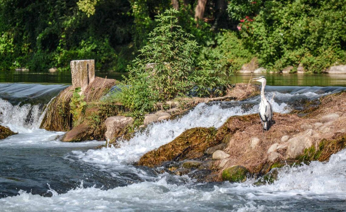 Die schönsten Orte am Gardasee: