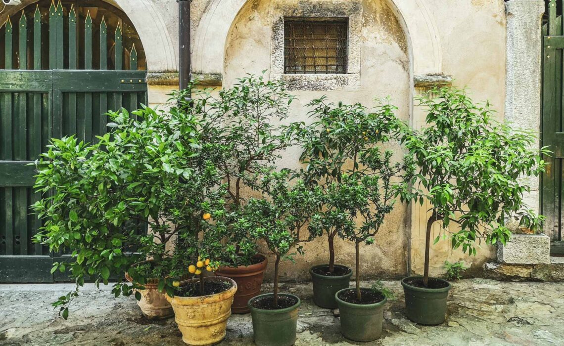 Die schönsten Orte am Gardasee: Der Innenhof de rlocanda San Vigilio mit Zitronen- und Olivenbäumen